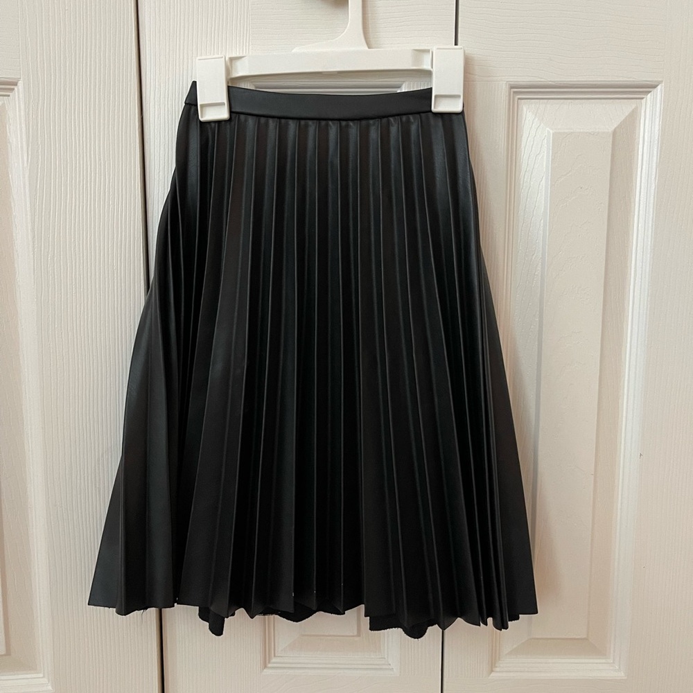Zara Black A-Line Pleated Skirt